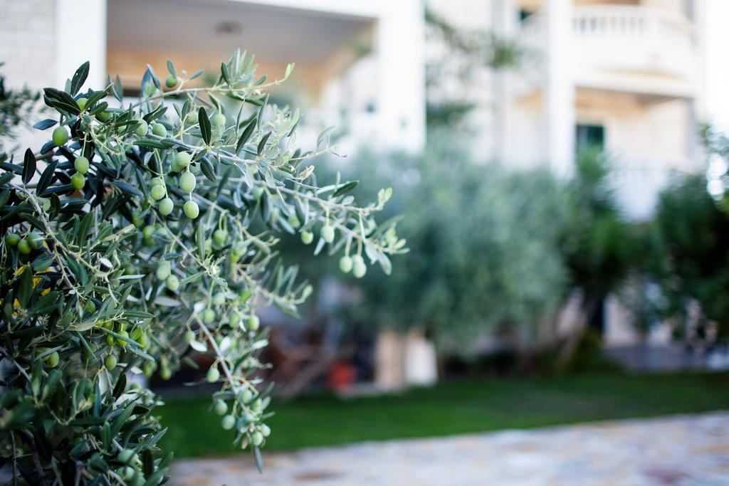 Apartments Villa Barbara Sumartin Exterior foto